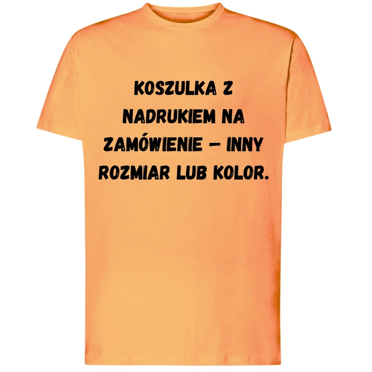 Koszulka damska męska na indywidualne zamówienie – wybrany nadruk w innym rozmiarze lub kolorze InsanePrint